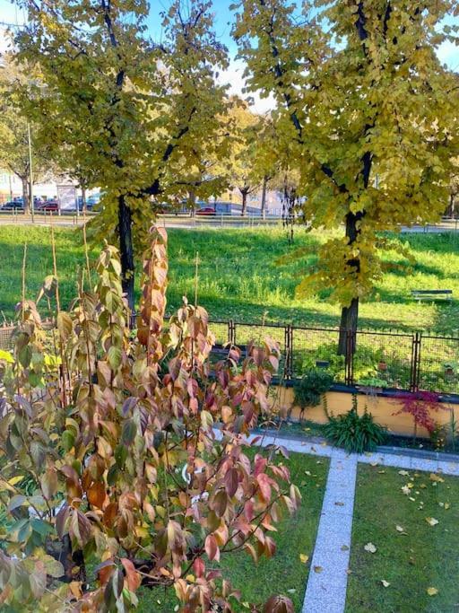 La Casetta Nel Verde In Citta Torino Dış mekan fotoğraf